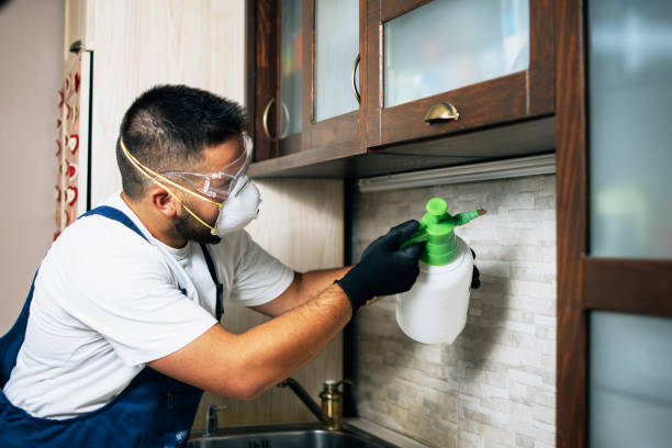 Best Affordable Pest Control Services  in Ashland, AL