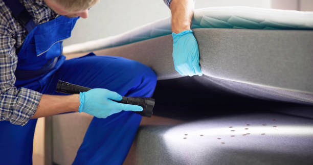Best Emergency Pest Control  in Ashland, AL