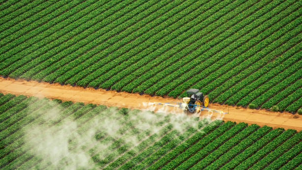 Best Mosquito Control Services  in Ashland, AL