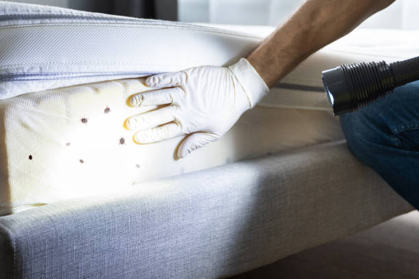 Best Pest Control Near Me  in Ashland, AL