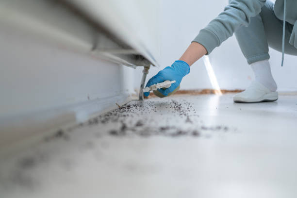 Best Bed Bug Extermination  in Ashland, AL